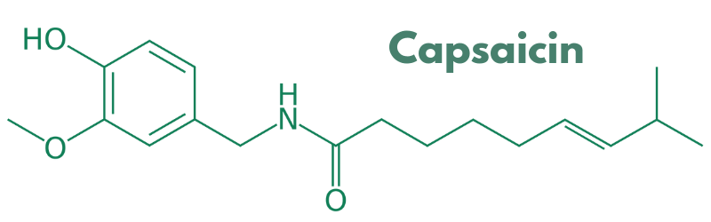 Capsaicin molecular structure