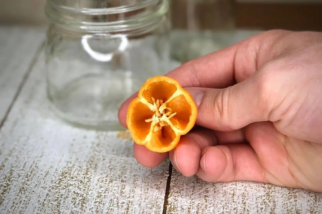 Sliced Habanero Crosswise