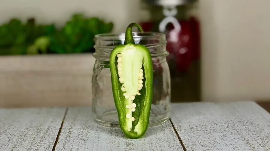 Cross section of jalapeno pepper, showing seeds and placenta