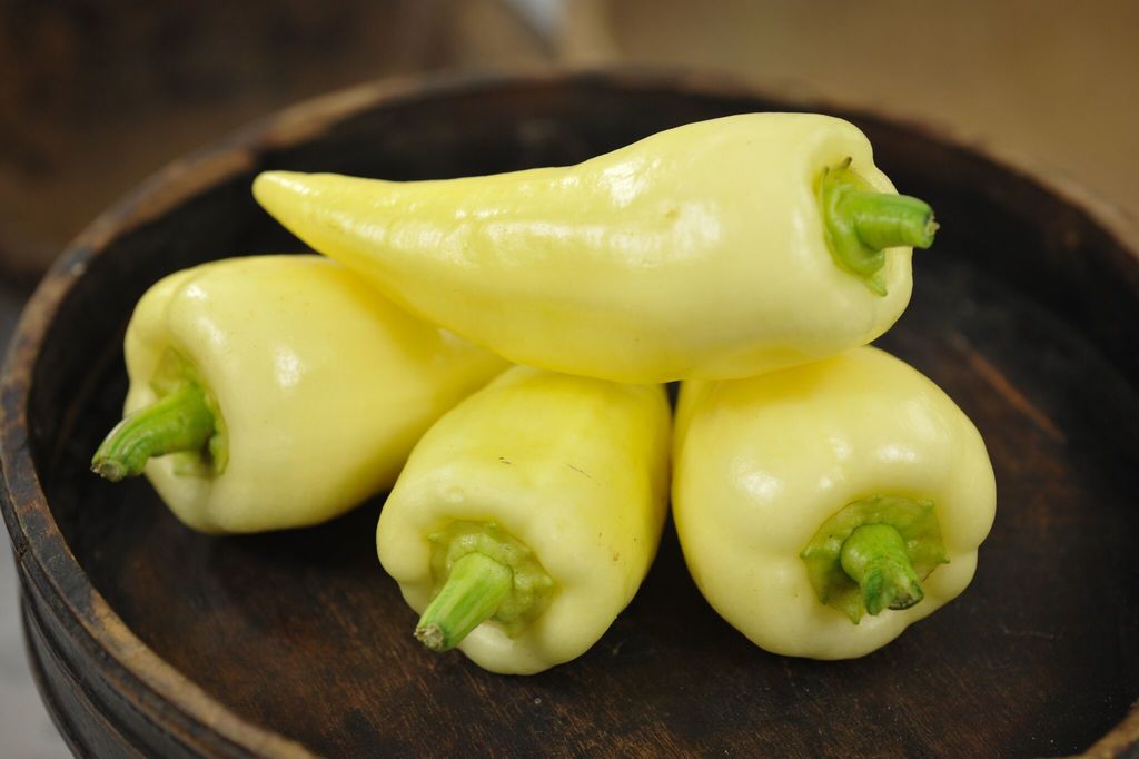 Mira Albino