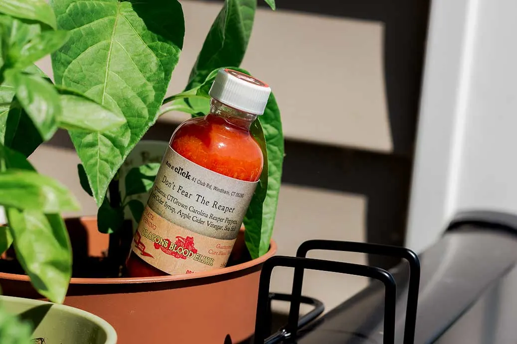 Don't Fear The Reaper - Carolina Reaper Hot Sauce bottle in potted plant