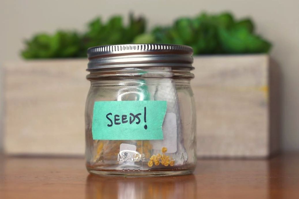 Small glass jar with "Seeds" label