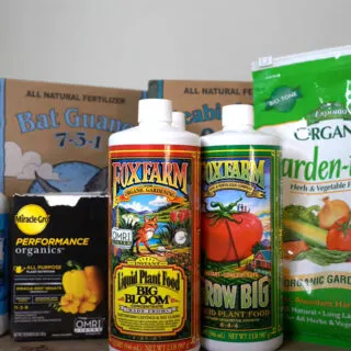 Fertilizer For Peppers