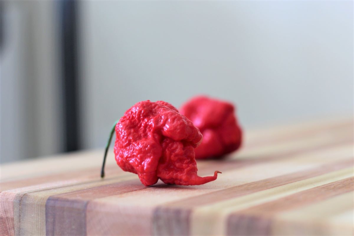 carolina reaper vs ghost pepper