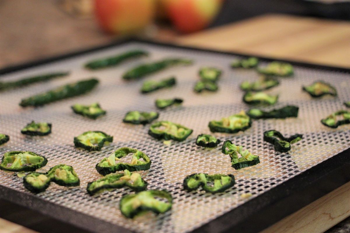 Closeup of Dehydrated Jalapeno Peppers on dehydrator tray