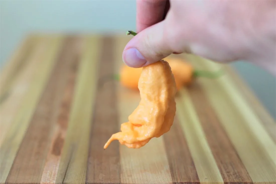 Peach Ghost Pepper