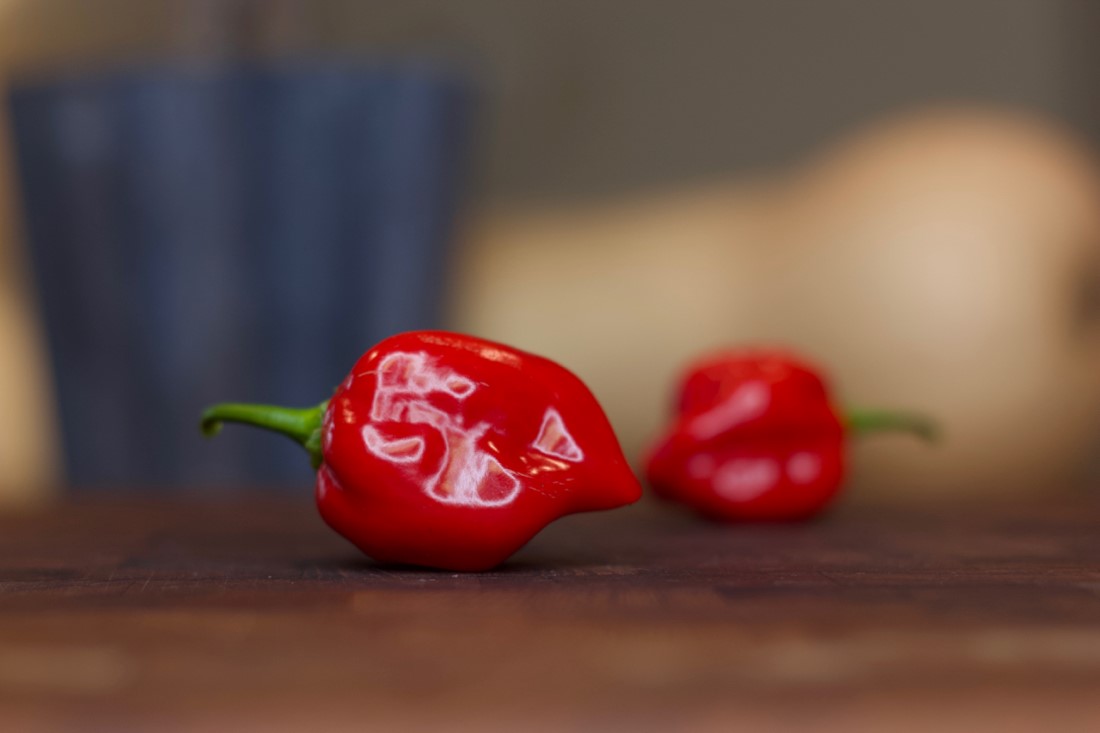 7 Of The Hottest Peppers In The World Pepper Geek