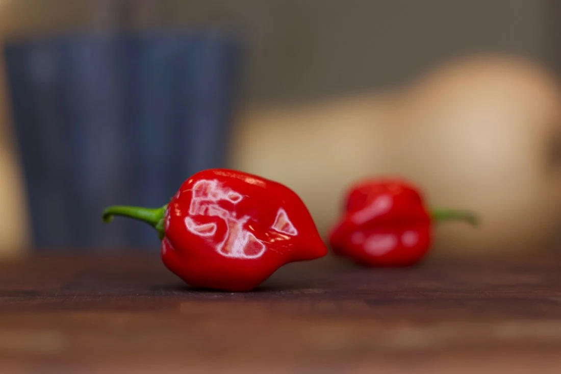 Hot Ones Last Dab XXX Hot Sauce, Pepper X is the World's Hottest Pepper:  Chili-Pepper, Chocolate & Peach, Three Distinct Strains Clock Over 3  Million