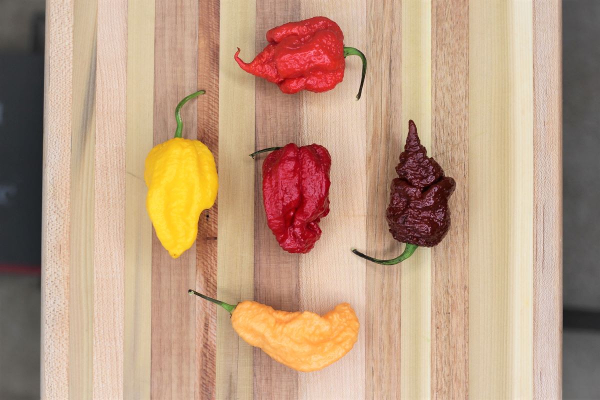 Various superhot pepper varieties on cutting board