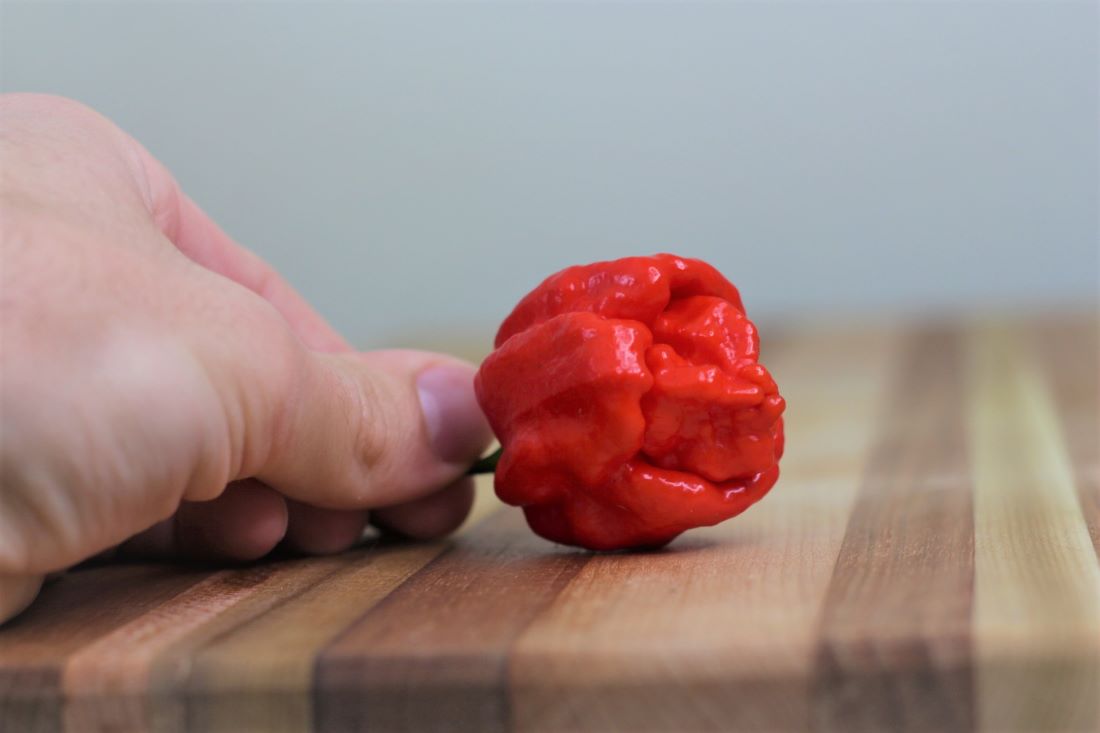 7 Of The Hottest Peppers In The World Pepper Geek