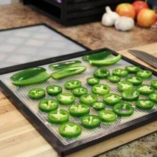 Fresh jalapeno slices on dehydrator tray