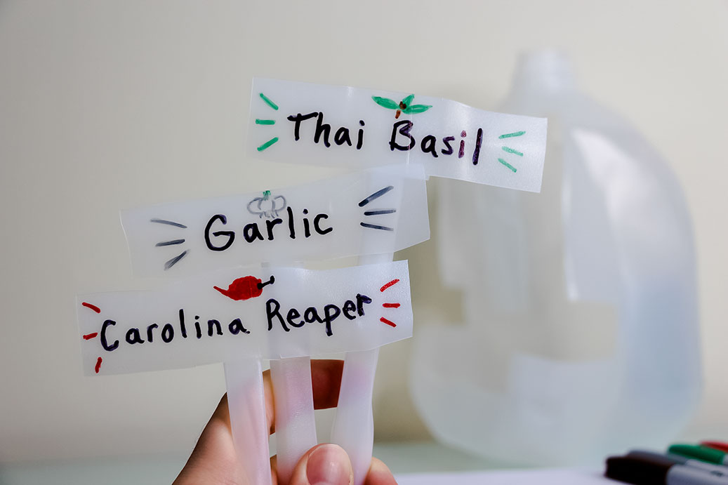 diy plastic plant markers for Carolina Reaper, Garlic, and Thai Basil