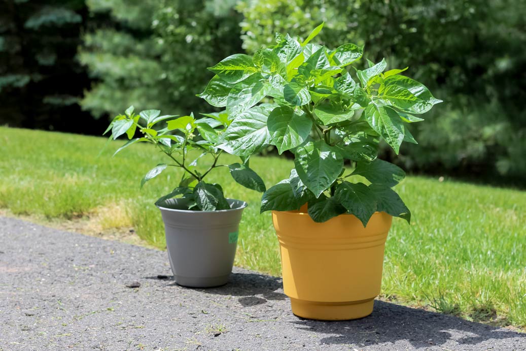 12 Of The Best Gardening Hats This Season - Pepper Geek