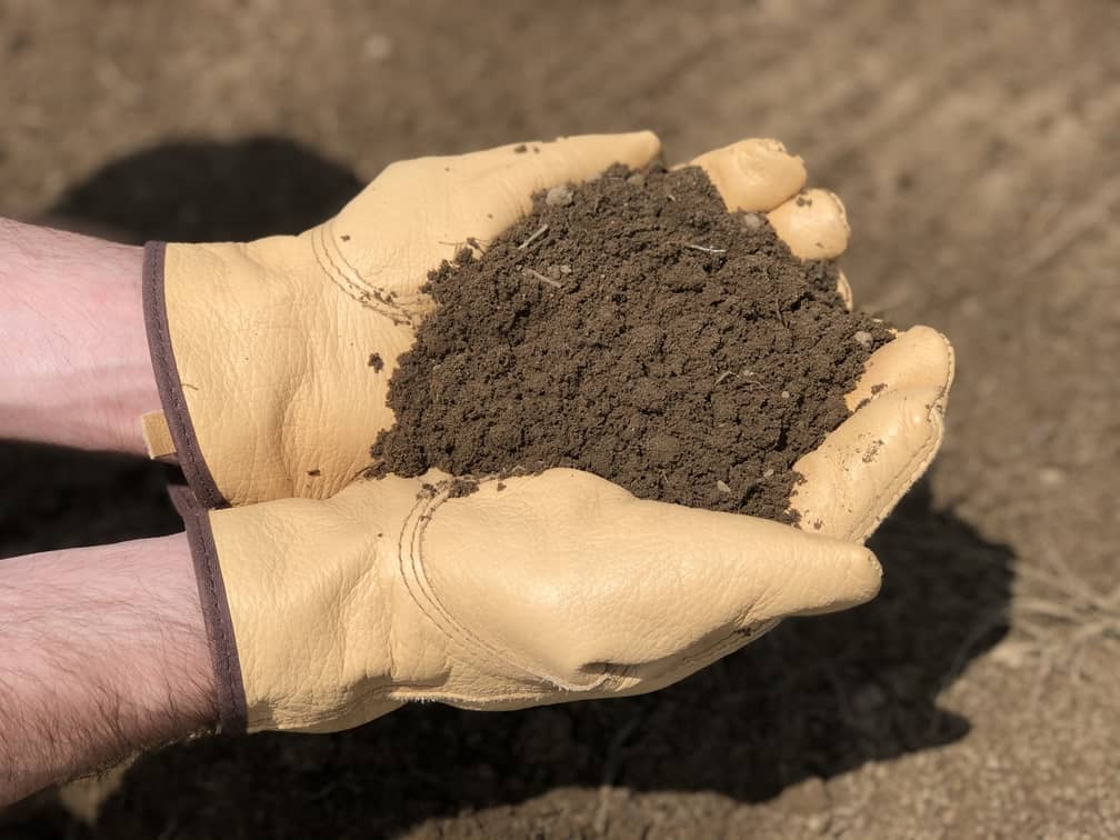 Gartenerde für Paprikapflanzen