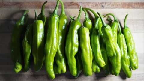 Shishito Peppers on cutting board
