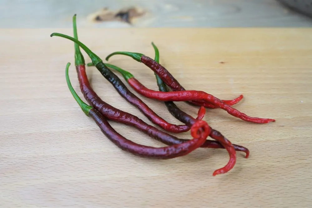 Chilis - Fresh vs. Dried