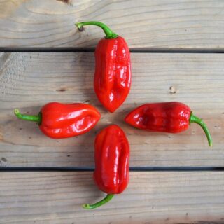 Red Ghost Peppers
