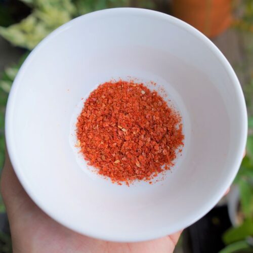 7 Cayenne Pepper Substitute Options Tasty Alternatives Pepper Geek