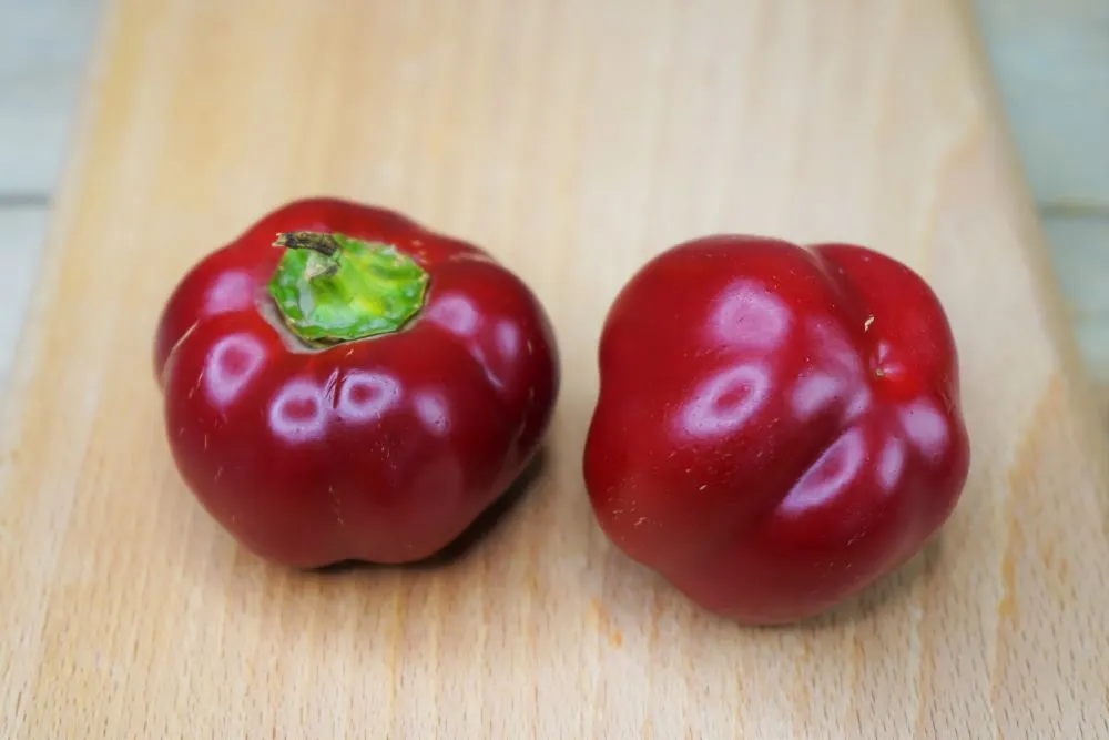 Pimento peppers