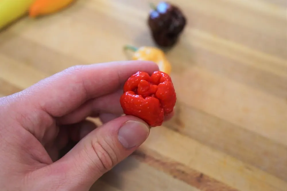 Trinidad Scorpion Moruga Red Pepper