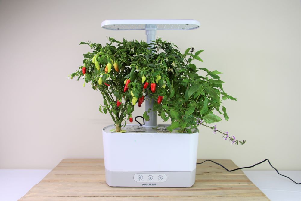 Aerogrow Garden Review | Fasci Garden