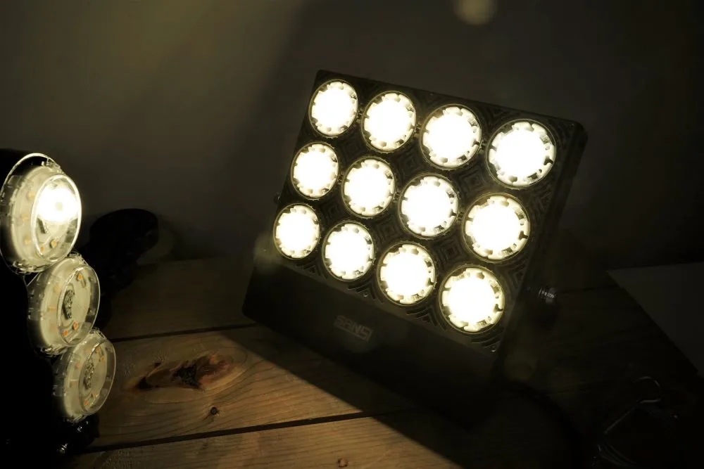 Results on Sansi grow light with before and after video. @Sansi Lighti, Grow  Lights For Plants