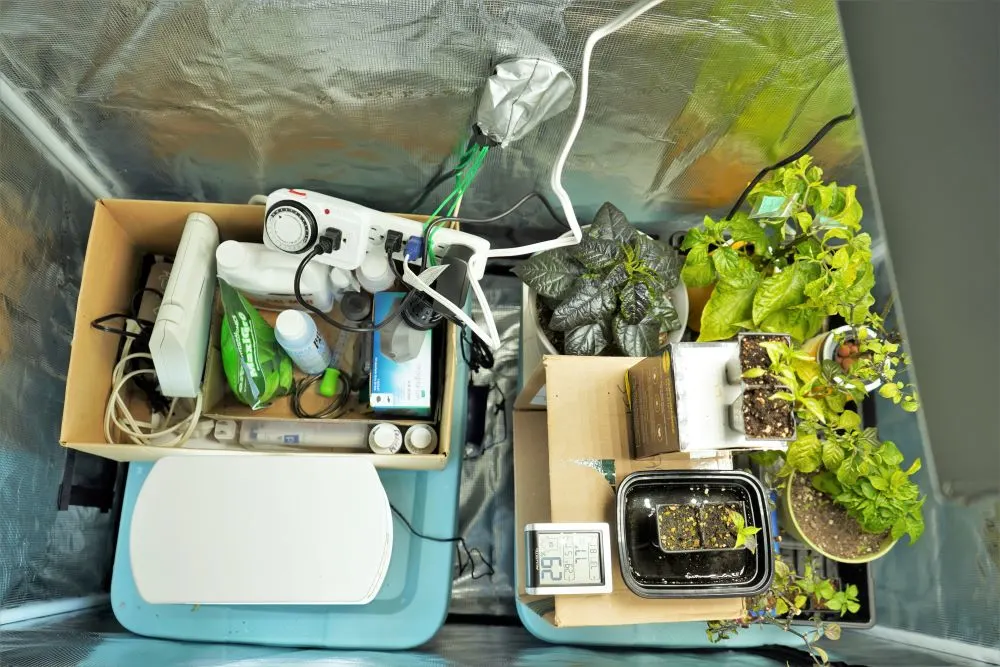 Mars Hydro grow tent interior space