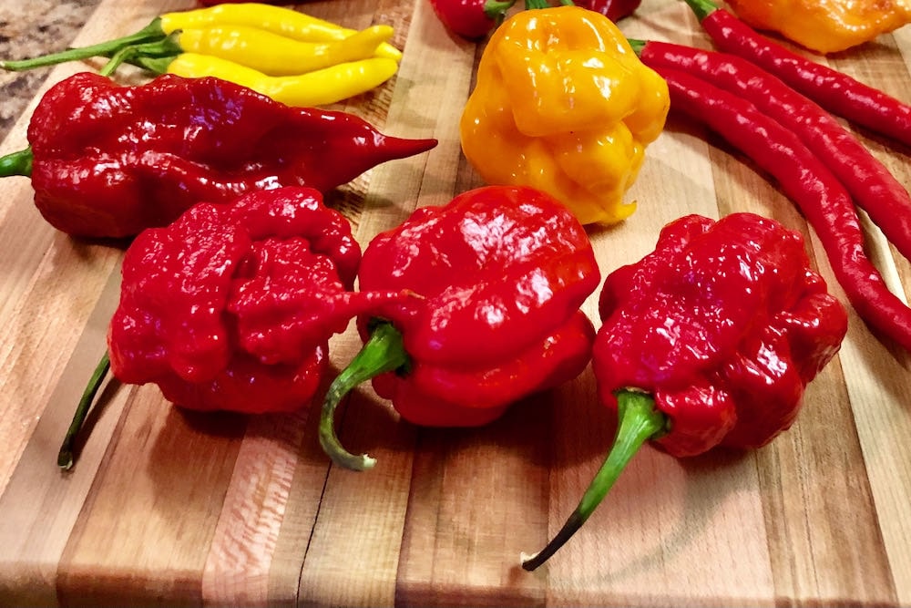 7 Pot primo peppers on cutting board