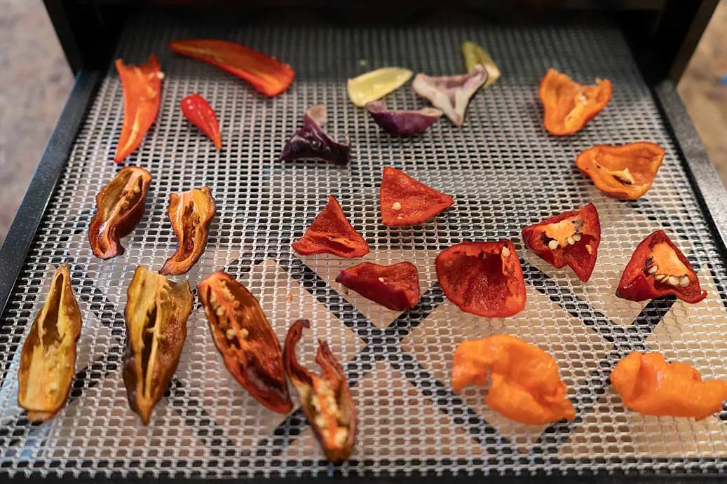 dehydrating peppers