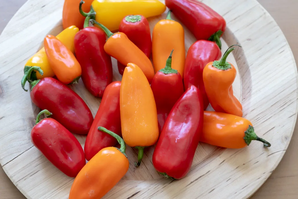 Sweet Bell Peppers