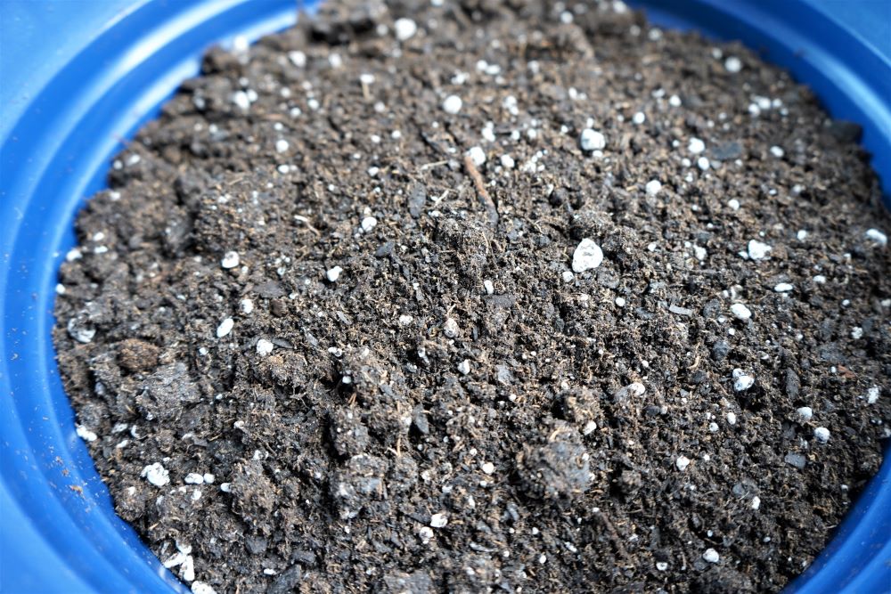 When to Add Perlite Soil to Container Gardens - Countryside