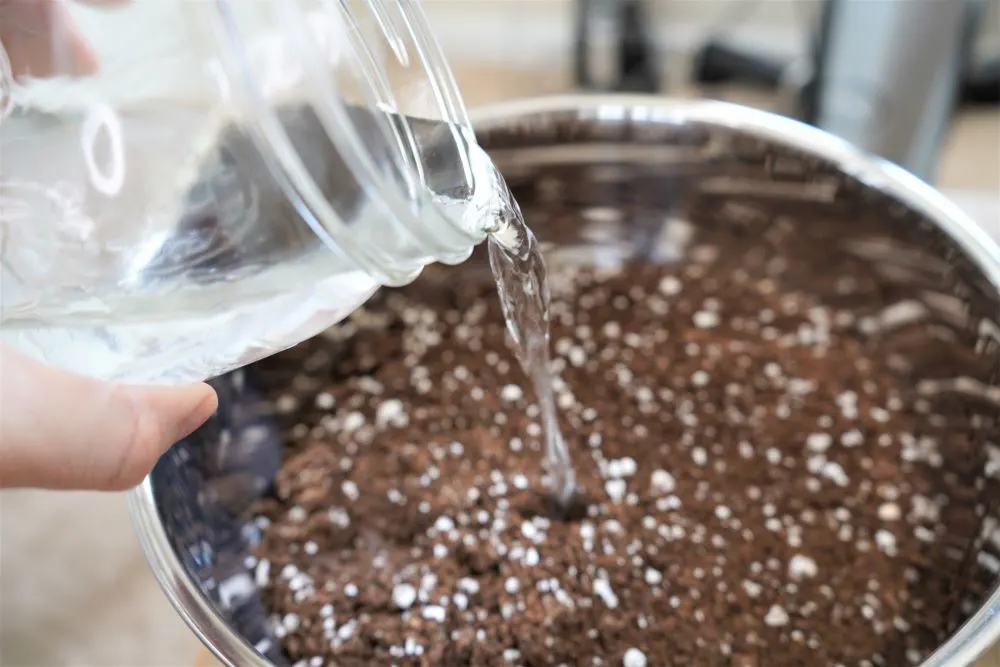 Seed starter mix pouring water