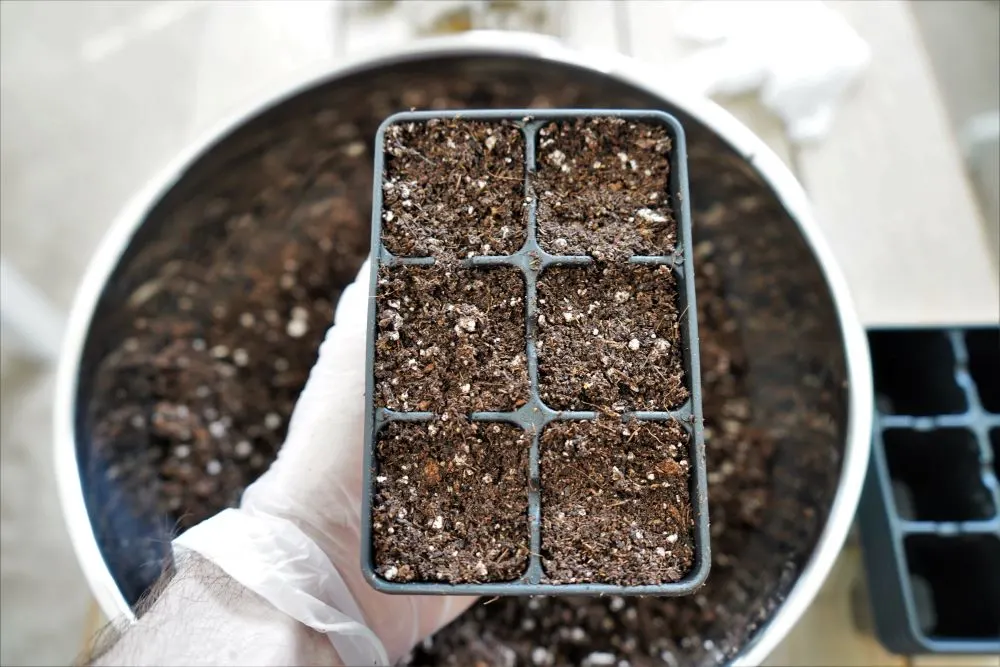 Seedling tray with seed starter mix