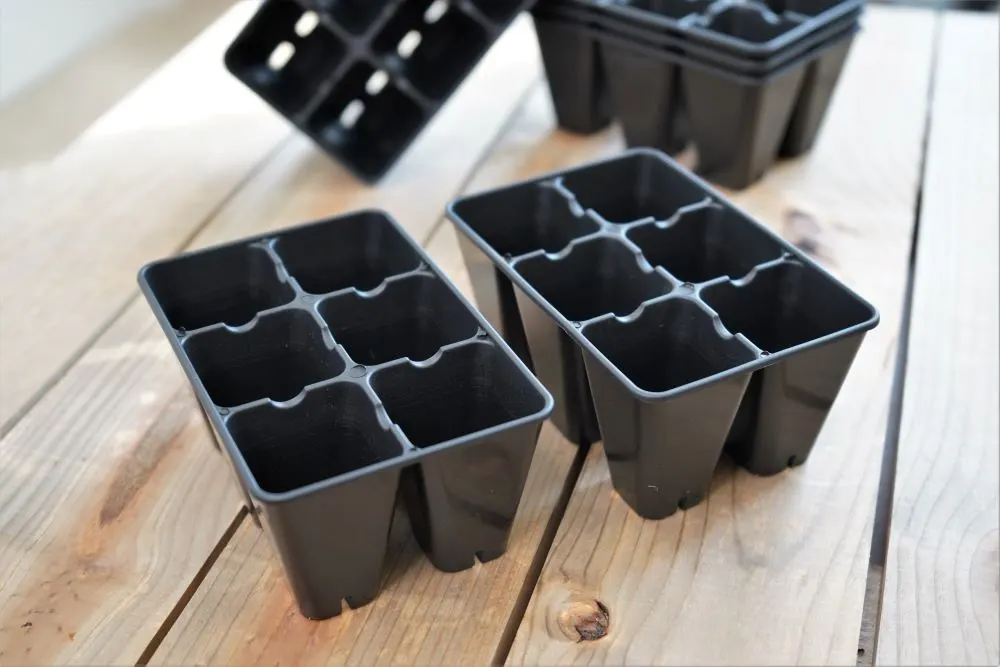 Seedling trays for peppers