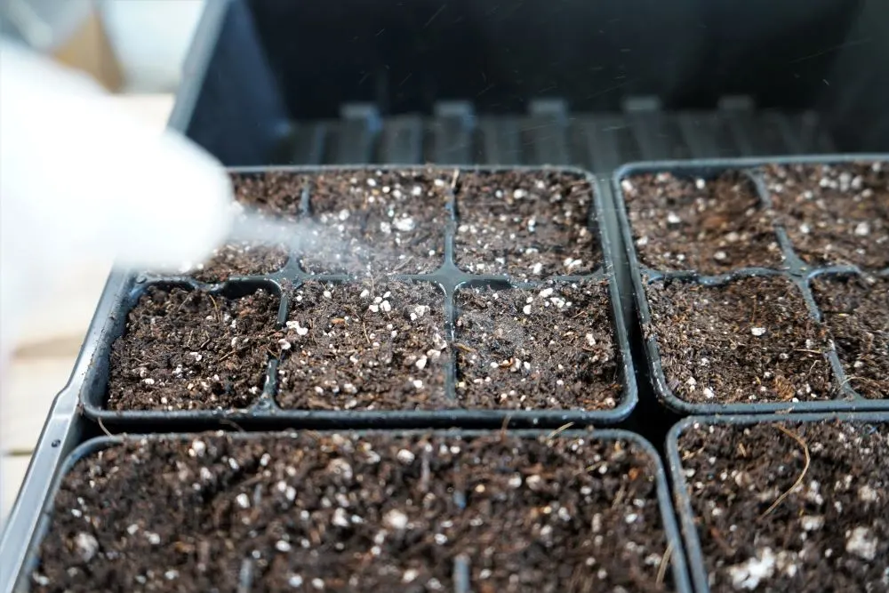 Spraying seedling cells