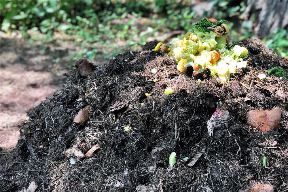 Compost pile outdoors