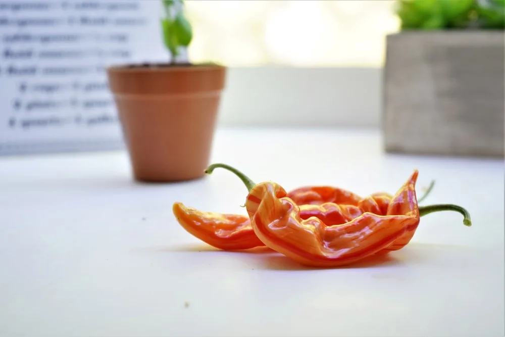 Sugar Rush Stripey pepper pods