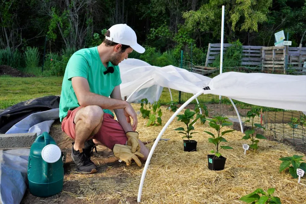 Calvin from Pepper Geek in garden