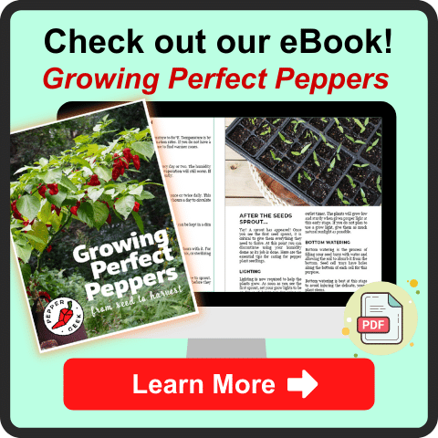 Buy our ebook: Growing Perfect Peppers