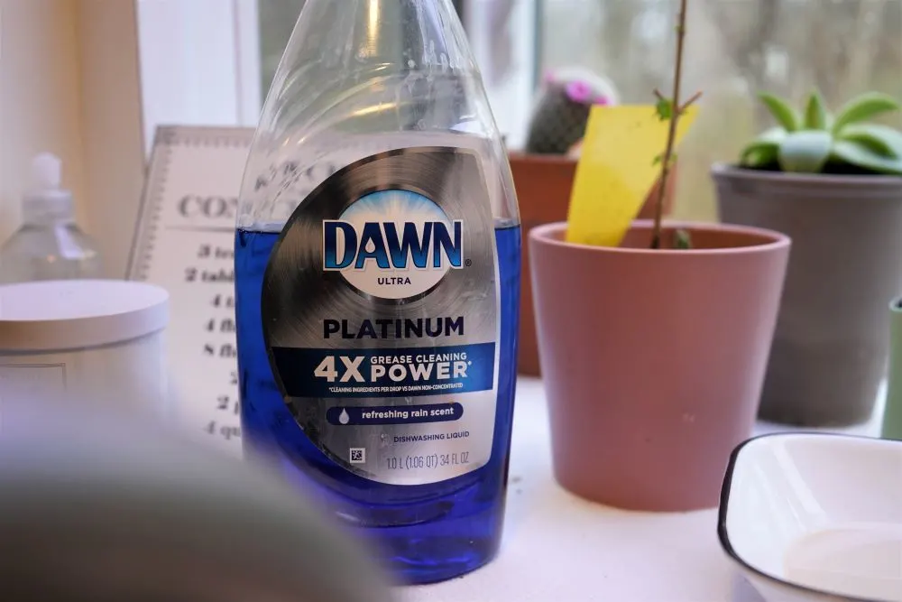 Dawn dish soap bottle