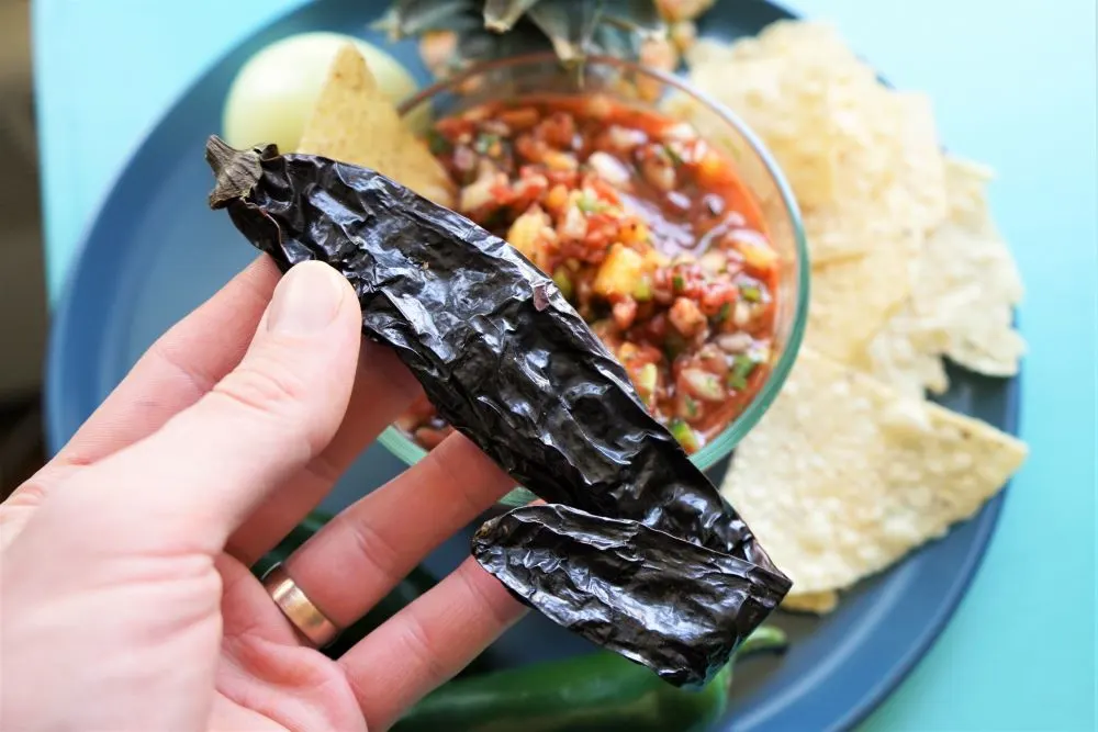 Pasilla chile pepper (dried chilaca pepper) for pineapple salsa