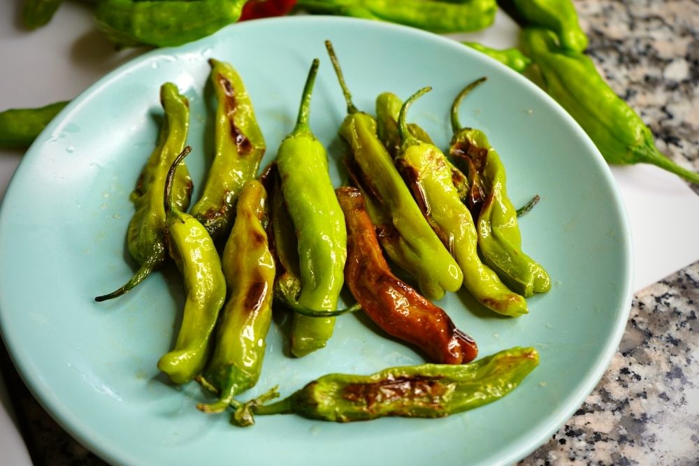 Blistered shishito peppers on plate