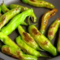 Blistered shishito peppers in hot pan