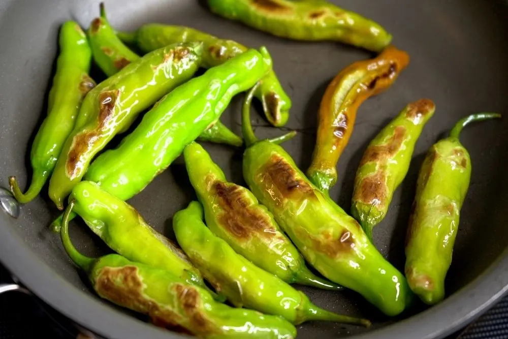 Blistered shishito peppers in hot pan