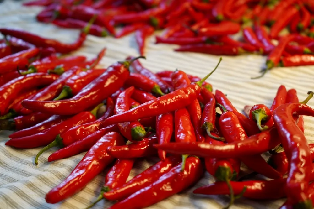 Cayenne peppers closeup