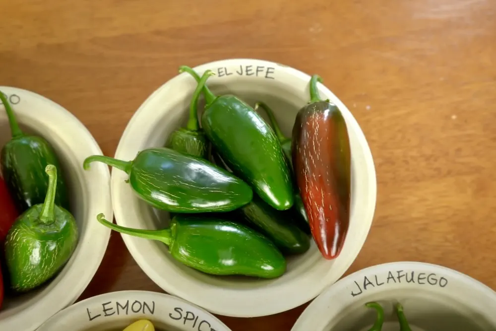 El Jefe jalapeno peppers