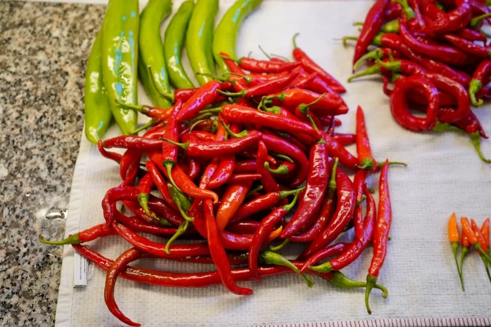 Large pile of red cayenne peppers