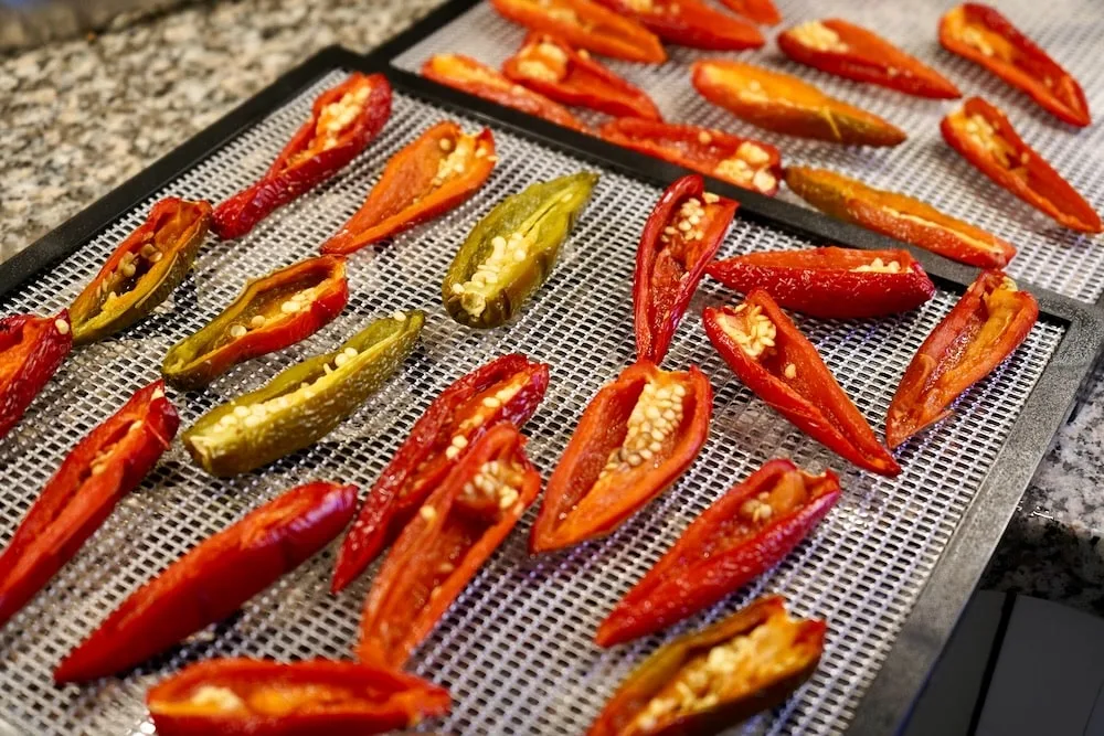 Red jalapenos on dehydrator tray