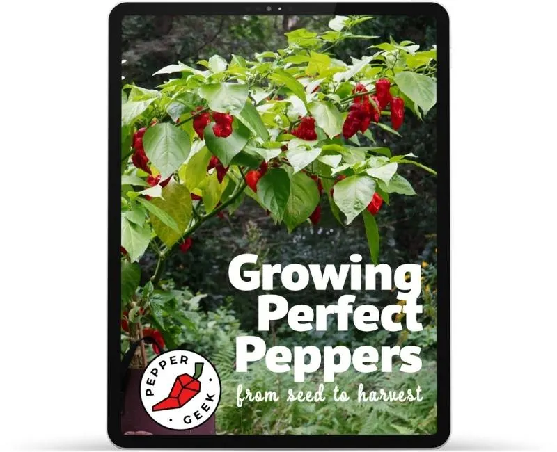 iPad Growing Perfect Peppers