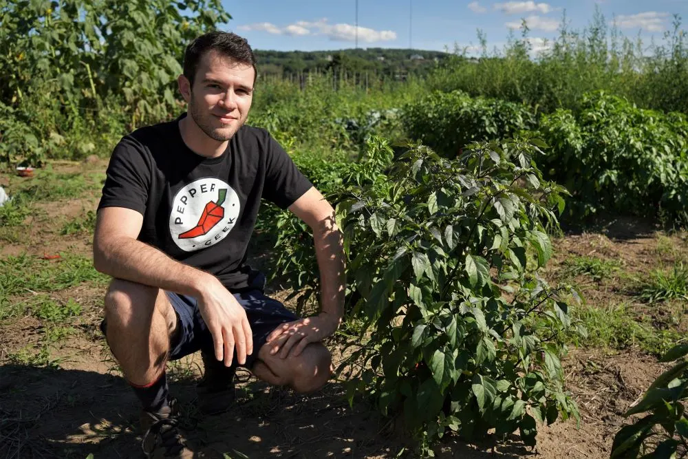 Calvin with CGN 21500 pepper plant in field